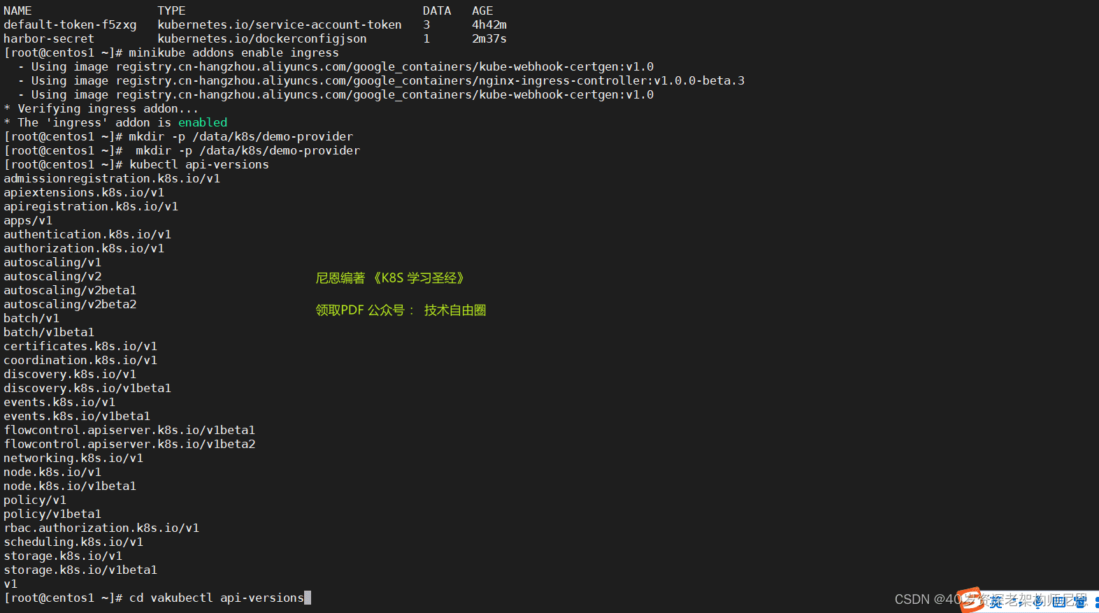 api-versions 输出