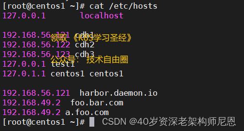 nodePort 外部流量经 NAT 进入虚拟 Service 网络