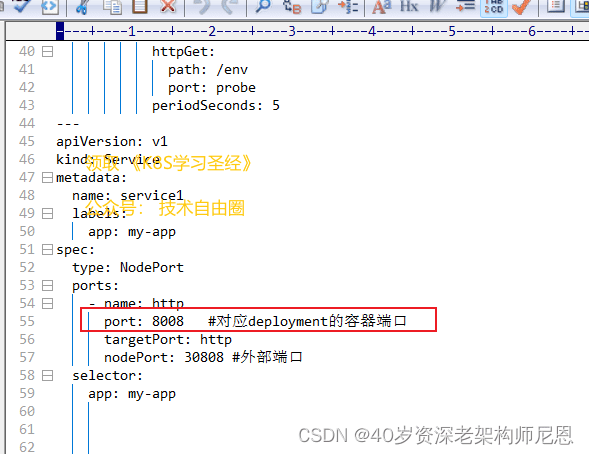 containerPort 在 Pod spec 中的声明