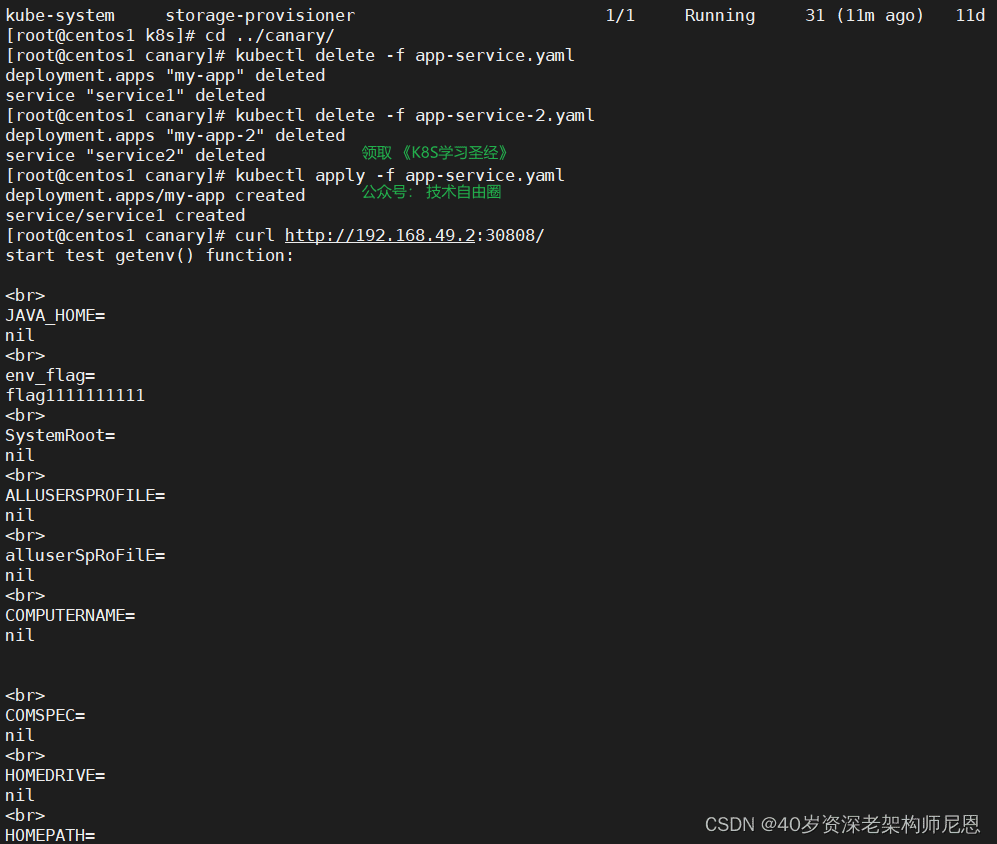Canary Deployment 与 Service