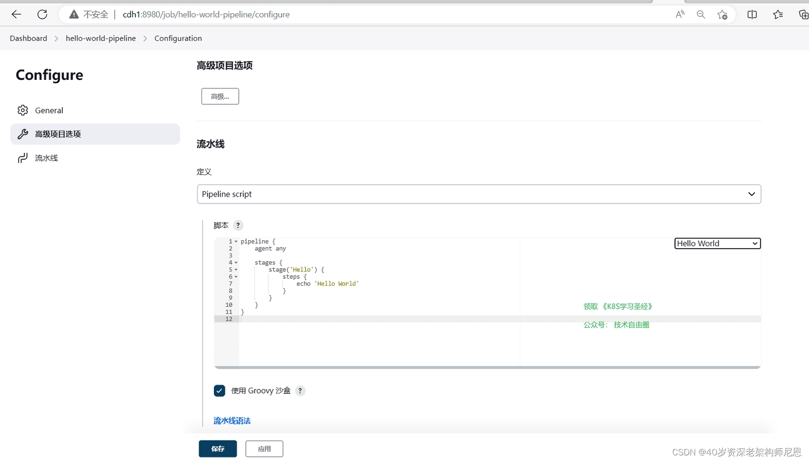 Pipeline Hello World 构建记录