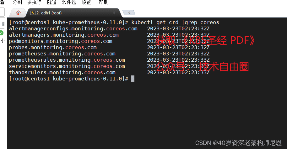 已安装的 CRD 与 Pod