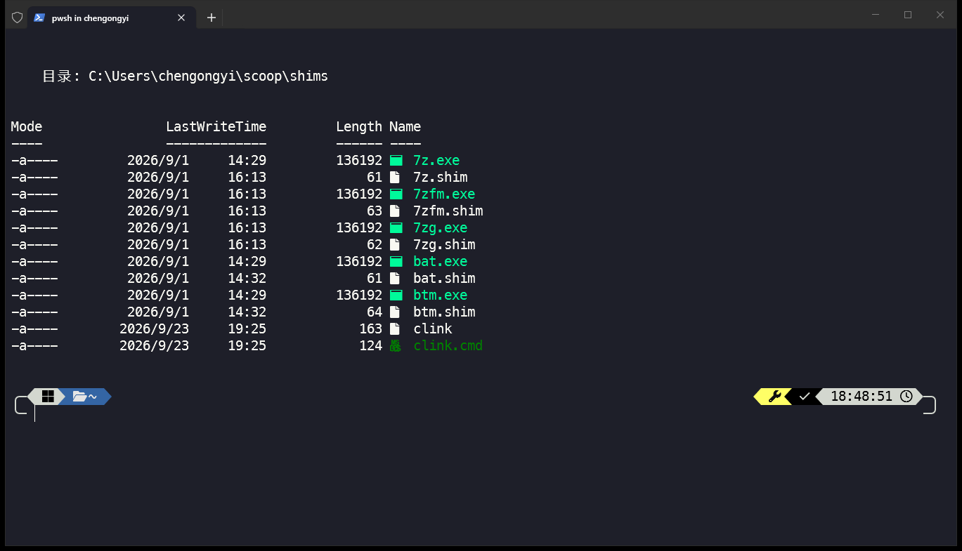 PowerShell 提示符 + Terminal-Icons 彩色文件图标